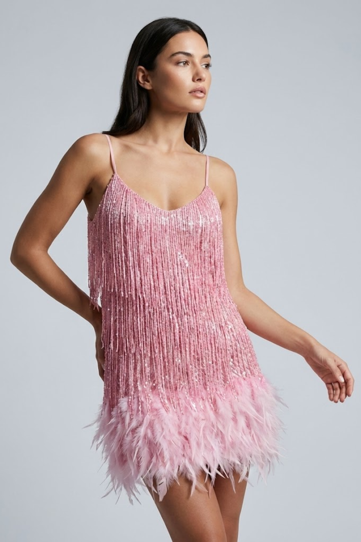Jane | Feather Mini Dress